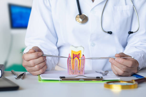 Best Broken Tooth Emergency  in Spring Valley Lake, CA